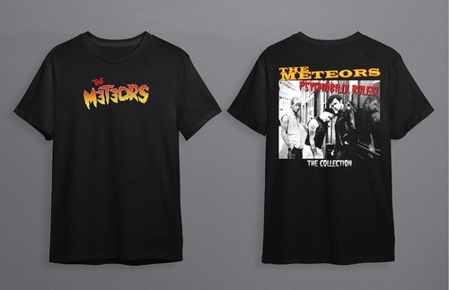Hot new the meteors - band, 2