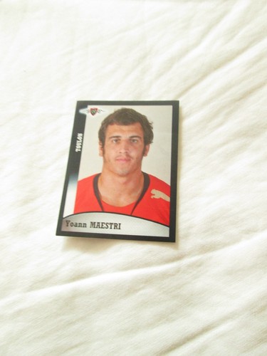 Maestri rct toulon - ,