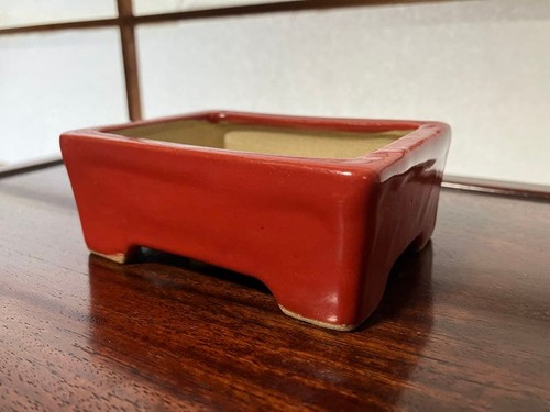Bonsaï pot fait - bonsaï, la