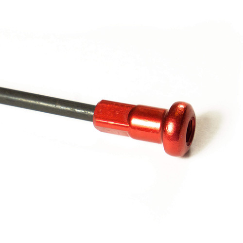 41088 jeu noix - de,