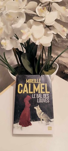 Livre bal des louves - livre,