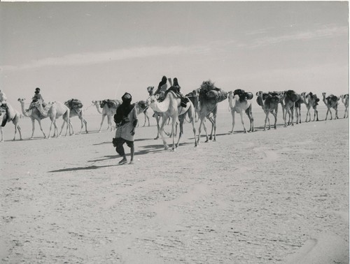 Sahara 1950 caravane - c.,