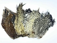 Plumes de Cou de Coq, Cree