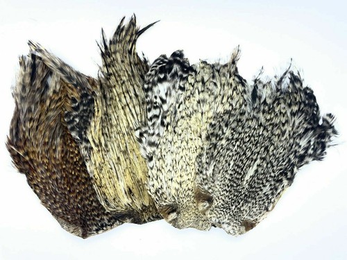 Plumes cou coq - cou, de