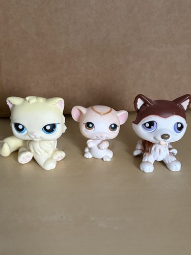 Hasbro lps petshop - hasbro,