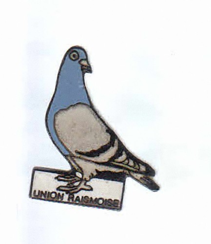 Rare pins pin animal - rare, ..