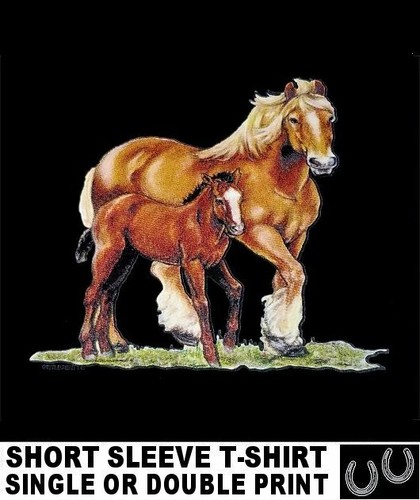 Palomino shire draft - shire,