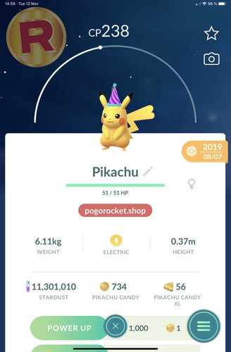 Pikachu party hat costume - hat,