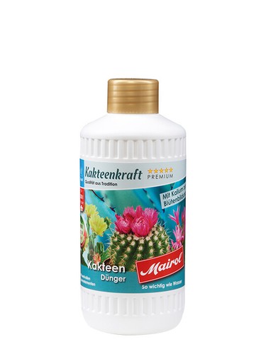 Engrais pour cactus - engrais,