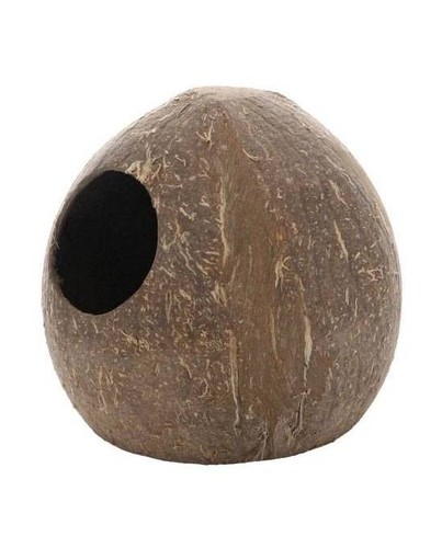 Grotte noix coco naturelle - noix,