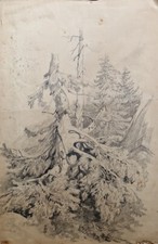 Beau Et Ancien Dessins Mine