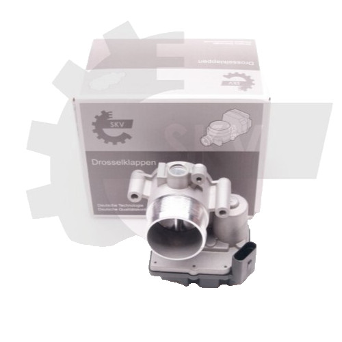 Papillon gaz pour - papillon,
