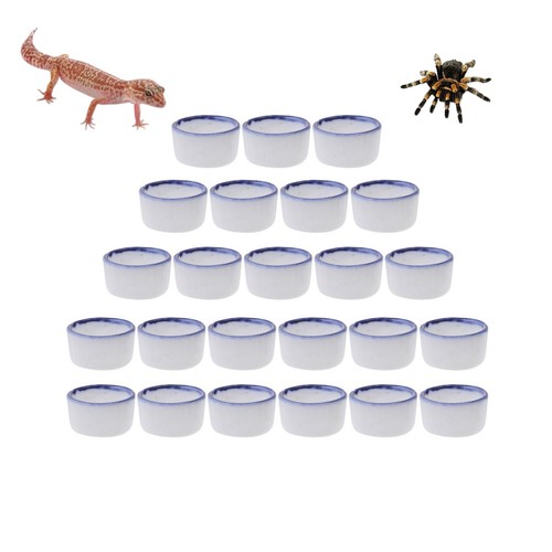 Popetpop pack mini - pack, reptile