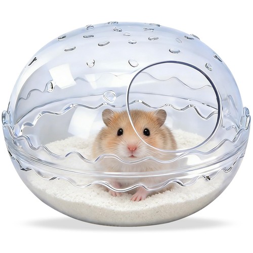 Hamsters bathtub box hamster - hamsters, box,hamster