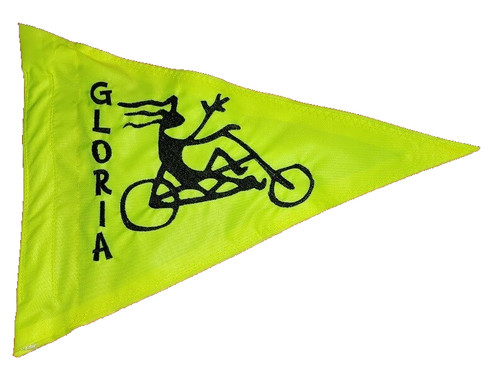 Custom recumbent trike flag - trike,