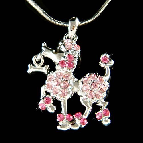 Collier pour chien caniche - pour,