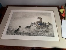 Gravure Léon Danchin Cane Et