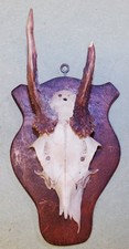ANCIEN TROPHEE DE CHASSE