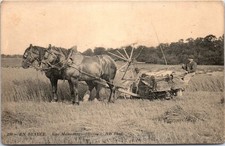 45 En beauce - Une moissonneuse lieuse