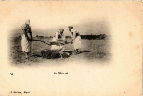 Cpa algeria geiser - ak,