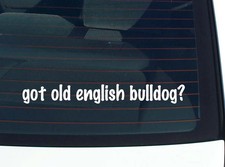 got old english bulldog? CAR
