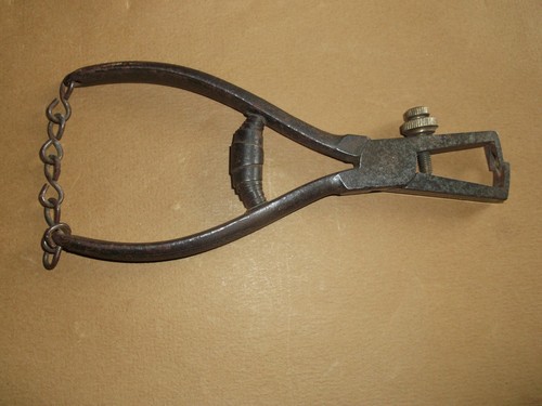 Outil ancien pince à - ancien,