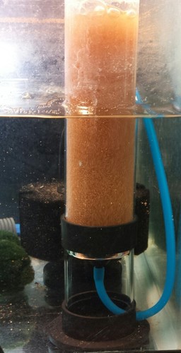 Brine shrimp hatchery kit - shrimp,