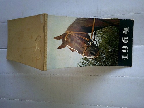 Het paard onze metgezel le - onze,