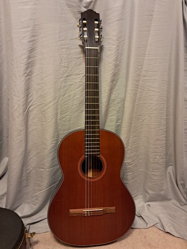 Vintage 1979 acoustic guild - vintage,