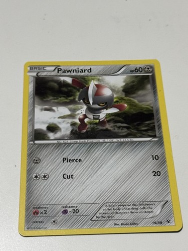 Pawniard xy kalos - 19/39,
