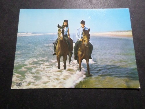 Carte postale camargue - postale,