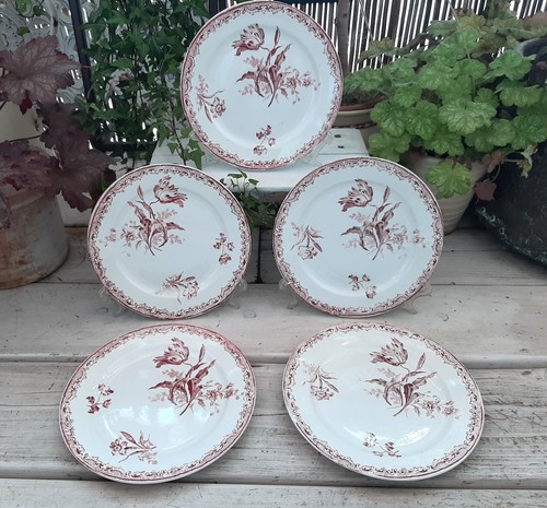 Assiettes desserts - 4+1,