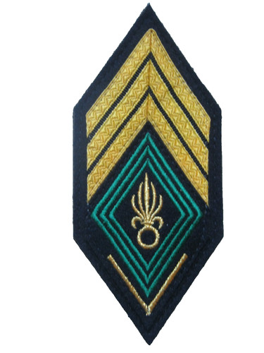 Galon parade legion - parade,
