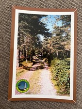 CPM PRES DE SAINT SABIN