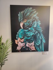 Cacatoès, Tirage d'art sur alu Dibond 83cm x 100 cm Limité et Signé 