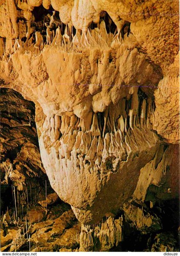 Carte postale spéléologie - postale,