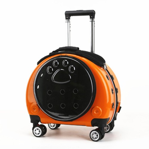 Cage transport pour - pour, animaux