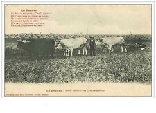 45.EN BEAUCE.BOEUFS ATTELES A UNE CHARRUE BRABANT.TACHE