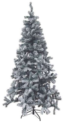 Sapin noël couvert de - sapin,