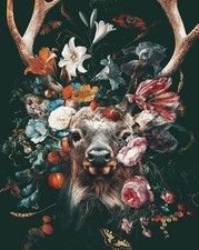 Peinture par Numero Kits DIY Acryliques Kit de Peinture par Numéro Peinture N...