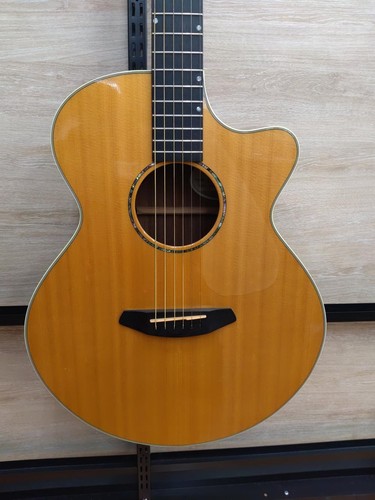 Guitare acoustique électrique