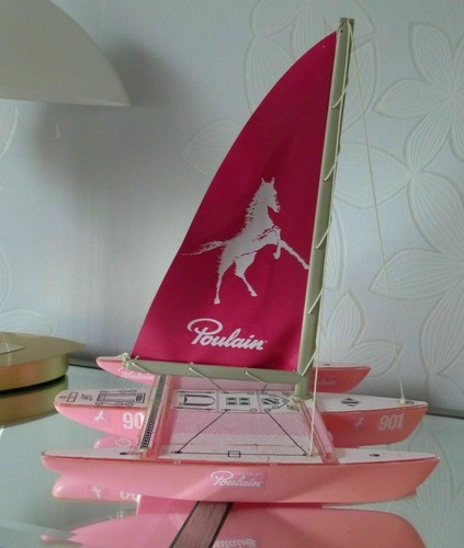 Kit maquette poulain chocolat - kit,