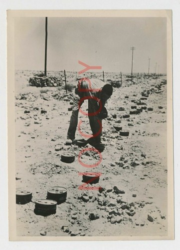 Photo afrikakorps 1942 - photo, 2