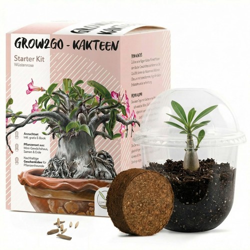 Grow2go kit culture de - kit,