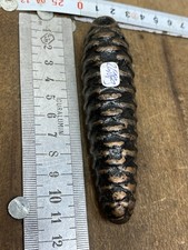 poids coucou fonte  pendule