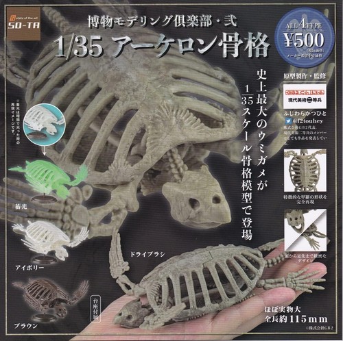 Museum modeling club 35 - modeling, 1/35