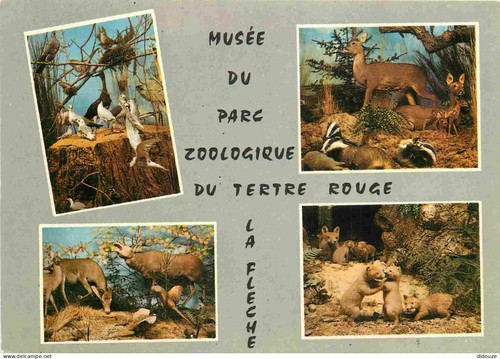 Carte postale animaux zoo - -,