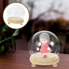  Dôme d'affichage en verre miniature Vitrine en verre de dôme de plante ronde