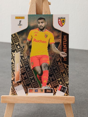 Panini adrenalyn ligue 1 - xl,