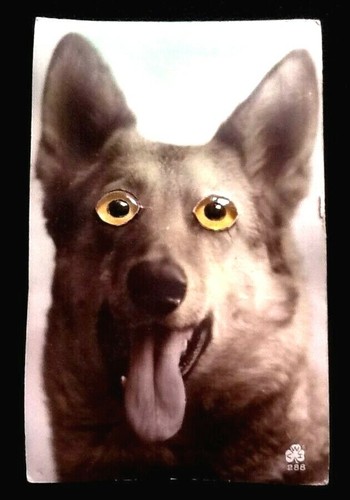 Carte postale chien drgm made - carte,